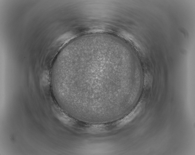 X0000111681353200908141441