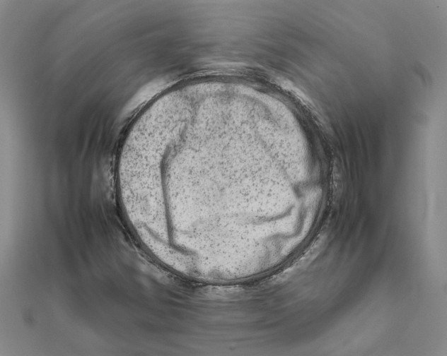 X0000111681354200908141441