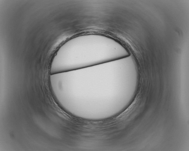 X0000111681355200908141441