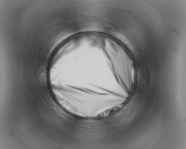 X0000111681356200908141441