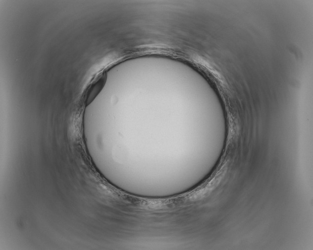 X0000111681357200908141441