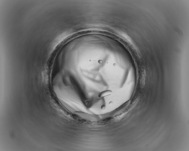 X0000111681360200908141441