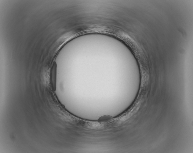 X0000111681361200908141441