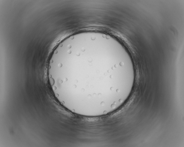 X0000111681362200908141441