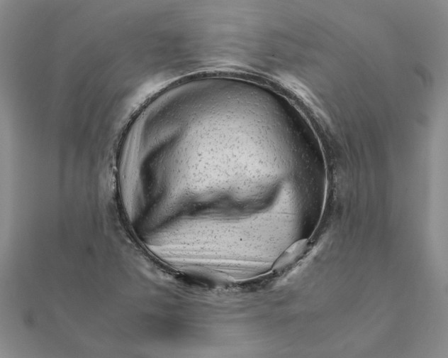 X0000111681363200908141441