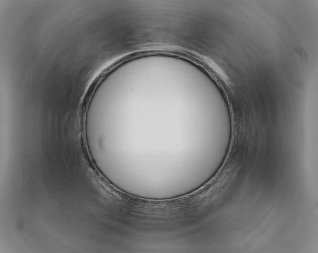 X0000111681364200908141441