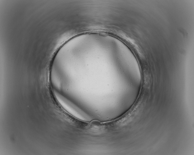 X0000111681365200908141441