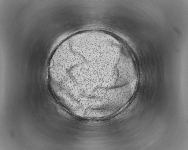 X0000111681366200908141441