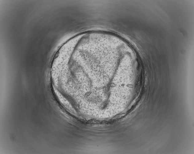 X0000111681367200908141441