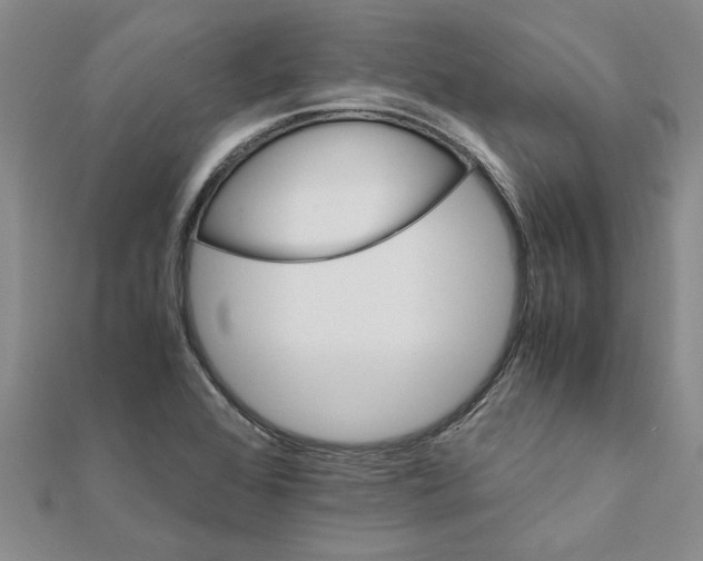 X0000111681368200908141441