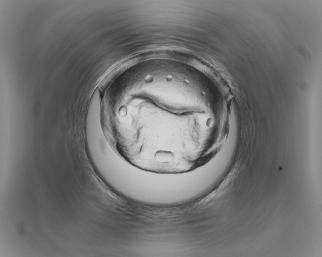 X0000111681369200908141441