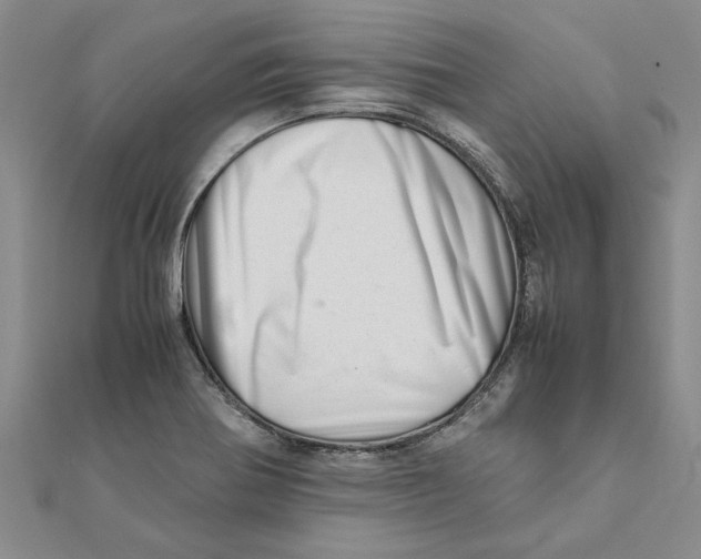 X0000111681370200908141441