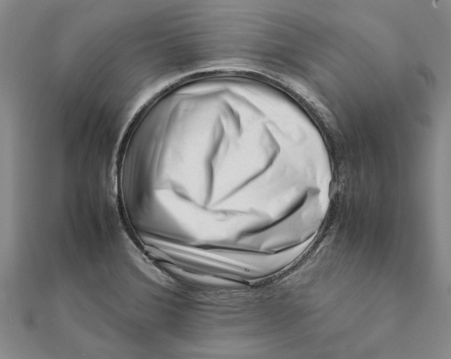 X0000111681372200908141441