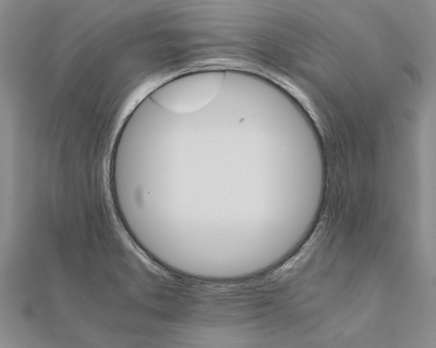 X0000111681373200908141441