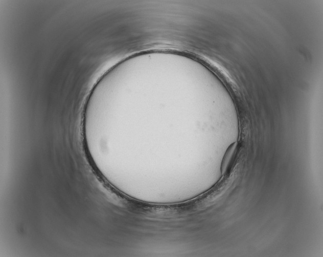 X0000111681375200908141441