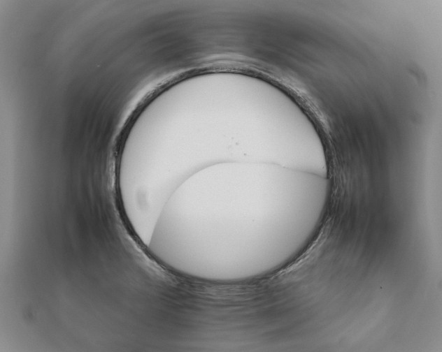 X0000111681376200908141441