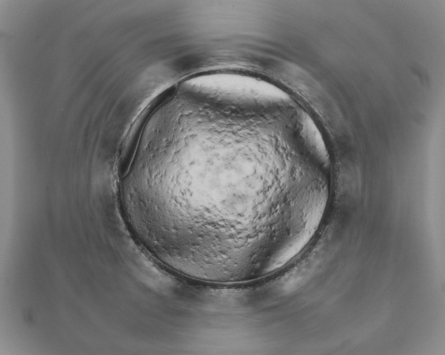 X0000111681377200908141441