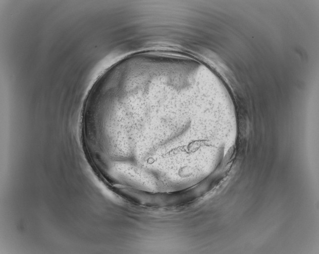 X0000111681379200908141441