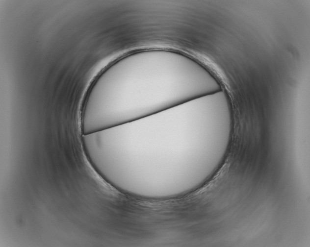 X0000111681380200908141441