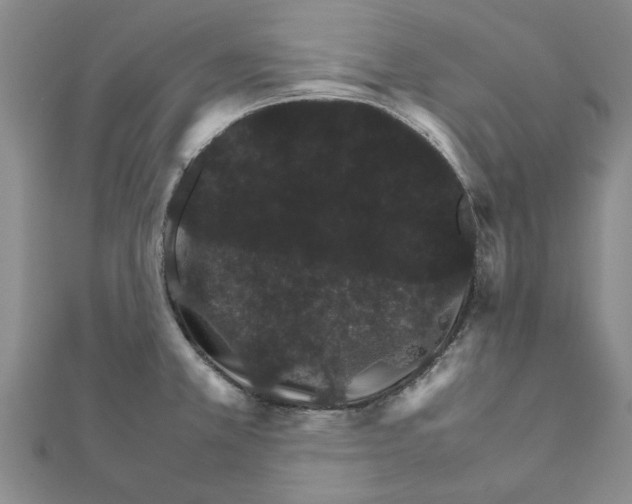 X0000111681381200908141441