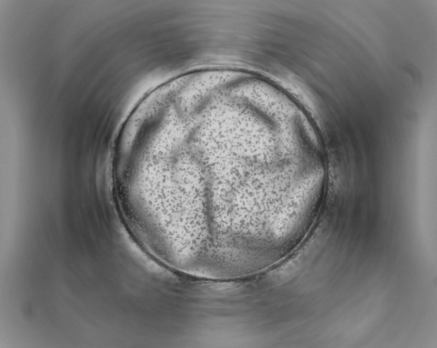 X0000111681382200908141441