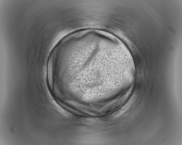 X0000111681383200908141441