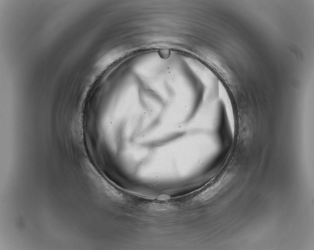 X0000111681384200908141441