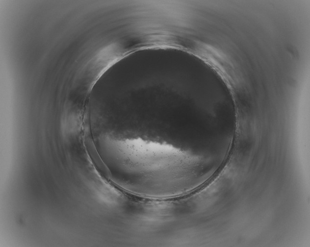 X0000111681385200908141441