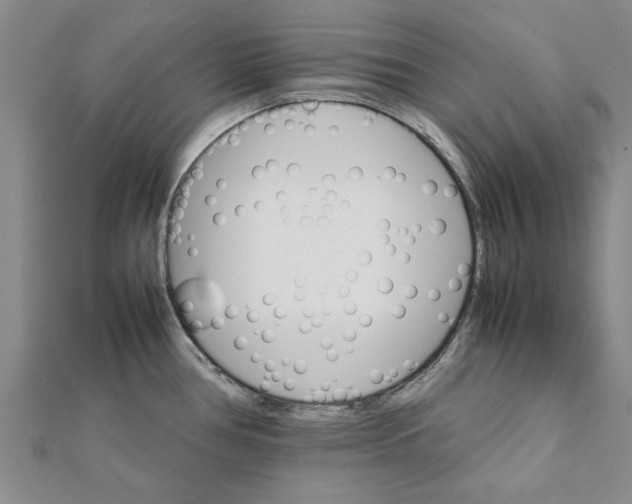 X0000111681386200908141441