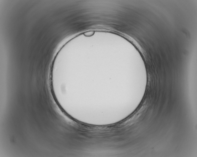 X0000111681387200908141441