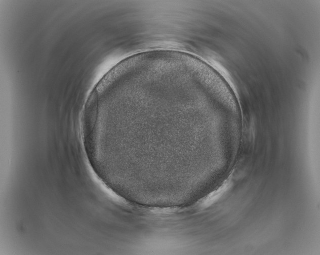 X0000111681389200908141441