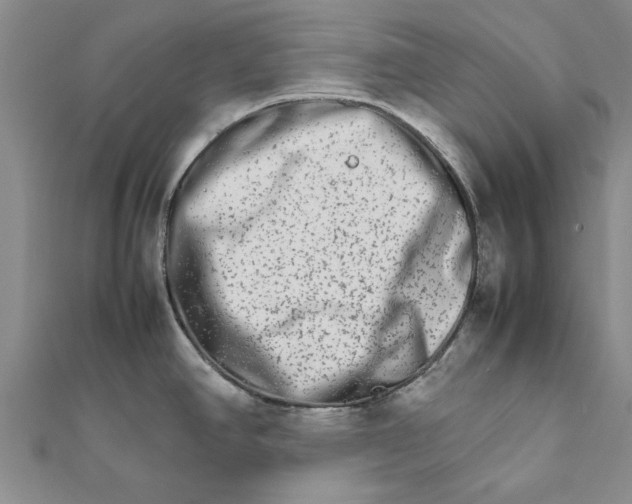 X0000111681390200908141441