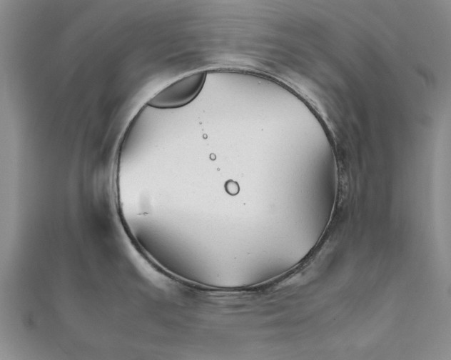 X0000111681391200908141441