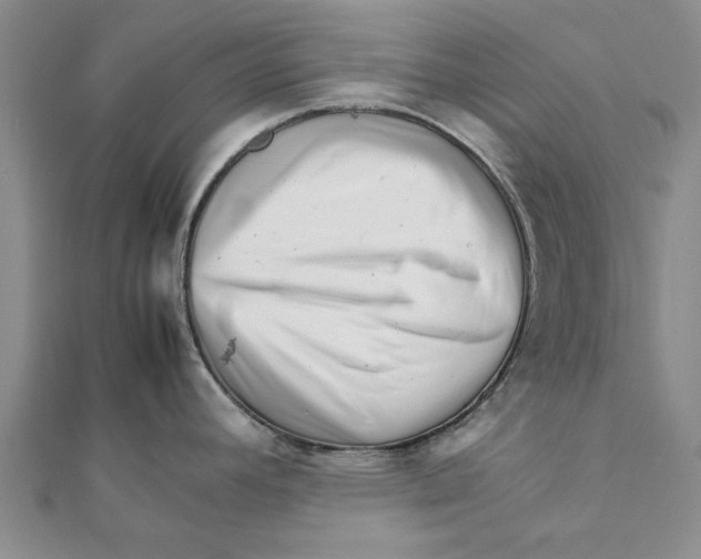 X0000111681392200908141441