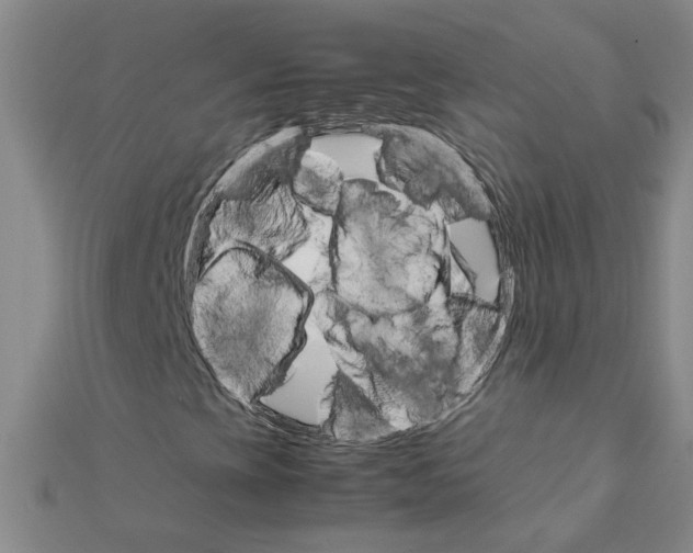 X0000111681393200908141440