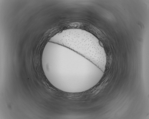 X0000111681394200908141440