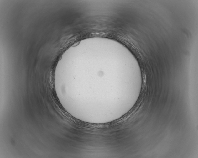 X0000111681396200908141440