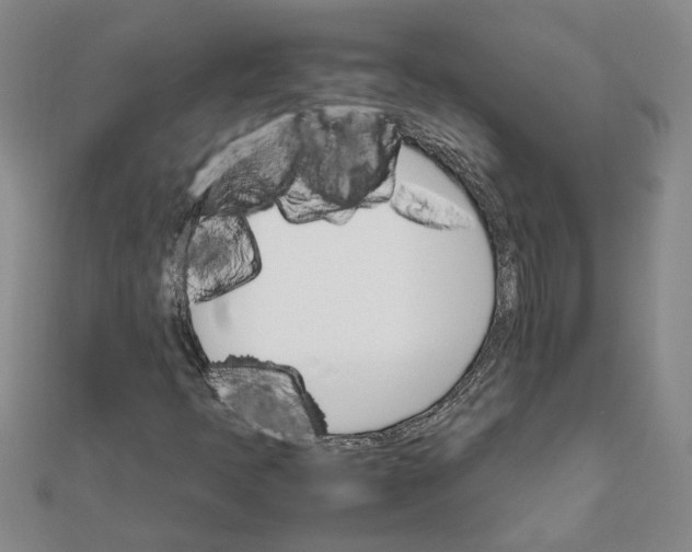 X0000111681397200908141440