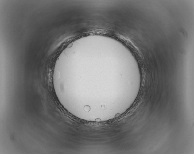 X0000111681399200908141440