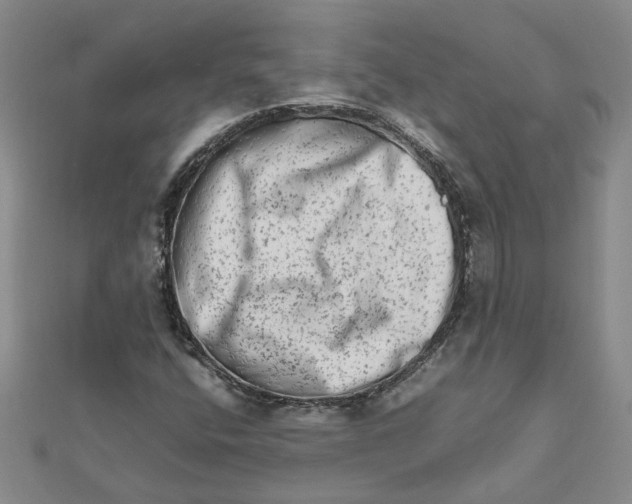 X0000111681400200908141440