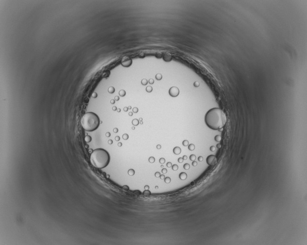 X0000111681402200908141440