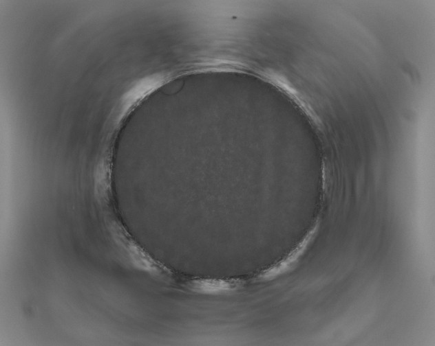 X0000111681405200908141440