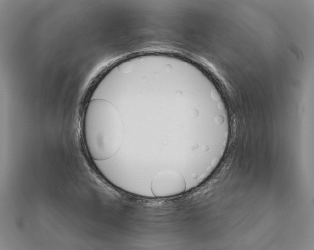 X0000111681408200908141440