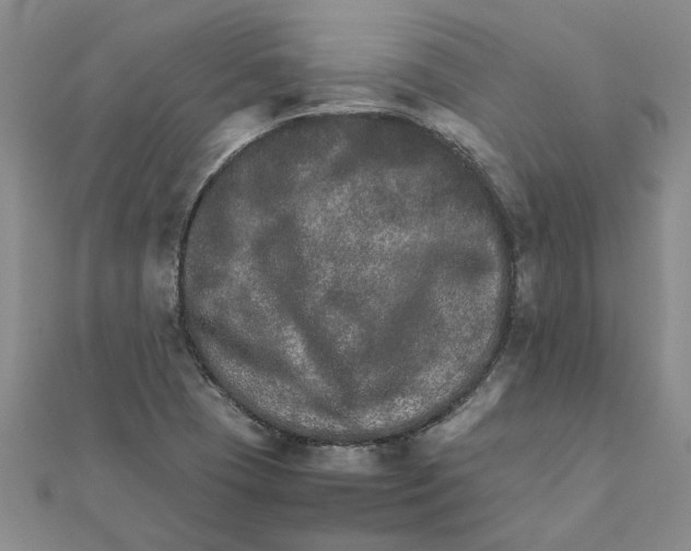 X0000111681409200908141440