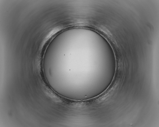 X0000111681410200908141440