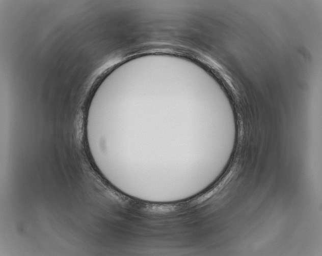 X0000111681411200908141440