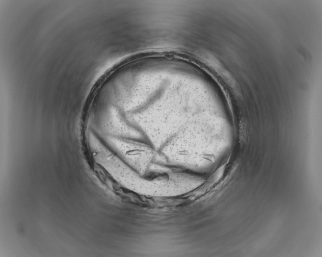 X0000111681412200908141440