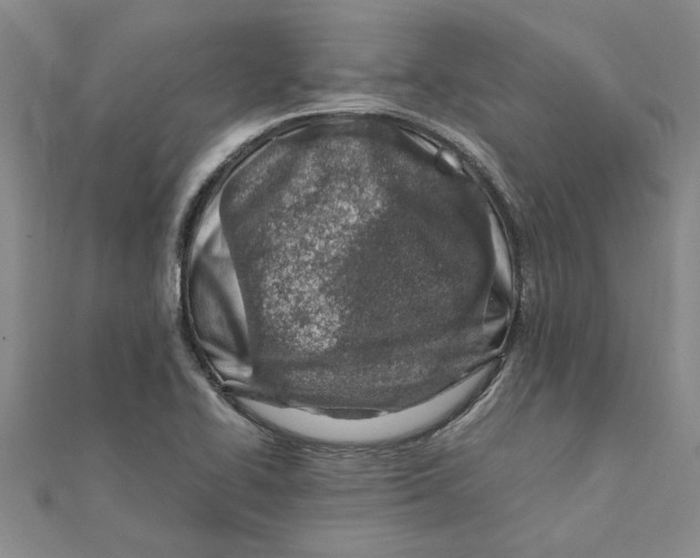 X0000111681414200908141440