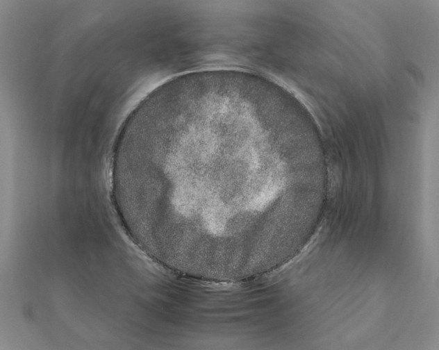 X0000111681415200908141440