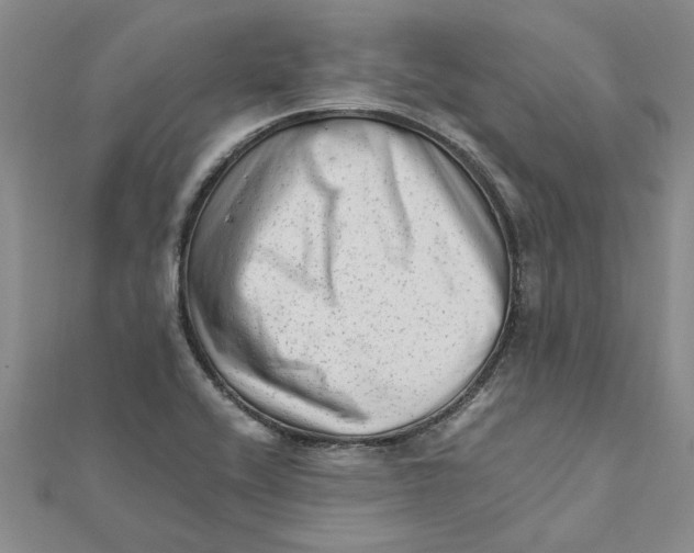 X0000111681416200908141440